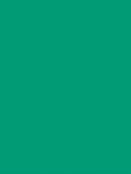 Бифлекс матовый, цвет Green Circon №43